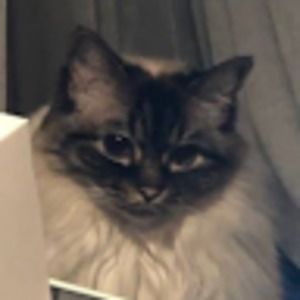 Meet your Posher, Katherine